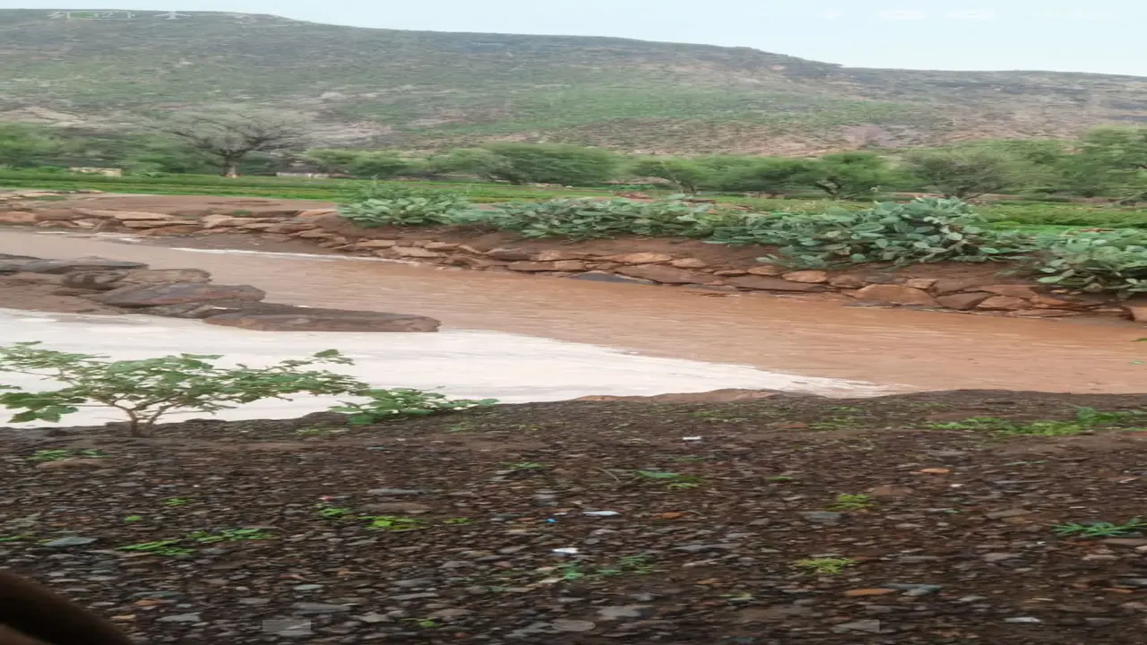 أمطار رعدية مرتقبة في عدة محافظات يمنية خلال الساعات القليلة المقبلة